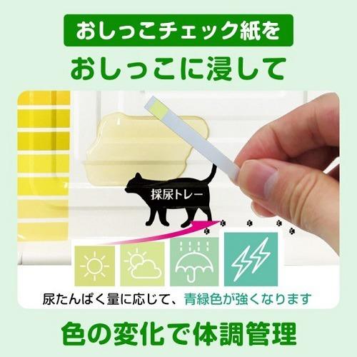 デオトイレ 猫用 おうちでおしっこチェックキット 1セット デオトイレ 爽快ドラッグ 通販 Yahoo ショッピング