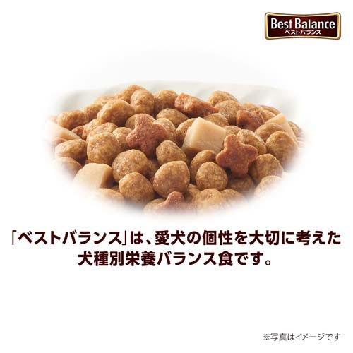 ベストバランス カリカリ仕立て トイ・プードル用 7歳以上用 ( 1.8kg