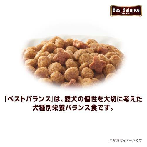 ベストバランス 柴犬用 ( 2.7kg )/ ドッグフード ) : 爽快ドラッグ
