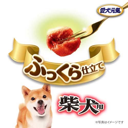 愛犬元気 パックン 柴犬用 ビーフ・ささみ・緑黄色野菜・小魚入り