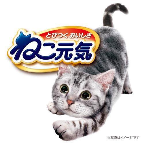 ねこ元気 キャットフード ドライ お魚と野菜ミックス 国産 ユニ