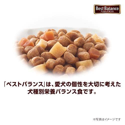 ベストバランス ミニチュア・ダックスフンド用 13歳以上用 ふっくら