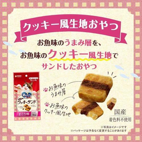 銀のスプーン おやつ お魚味クッキーサンド 2種のアソート かつお