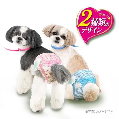 マナーウェア 女の子用 M ピンクリボン・青リボン 犬用 おむつ マナーウェア 女の子用 M ピンクリボン・青リボン 犬用 おむつ