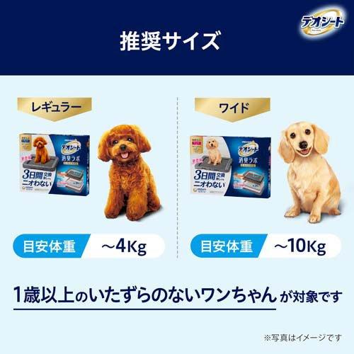 デオシート 消臭ラボ 抗菌ドライフィルター レギュラー ( 4枚入