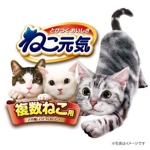 ねこ元気 複数ねこ用 お魚とお肉のスペシャルブレンド ( 3kg ねこ元気 複数ねこ用 お魚とお肉のスペシャルブレンド ( 3kg