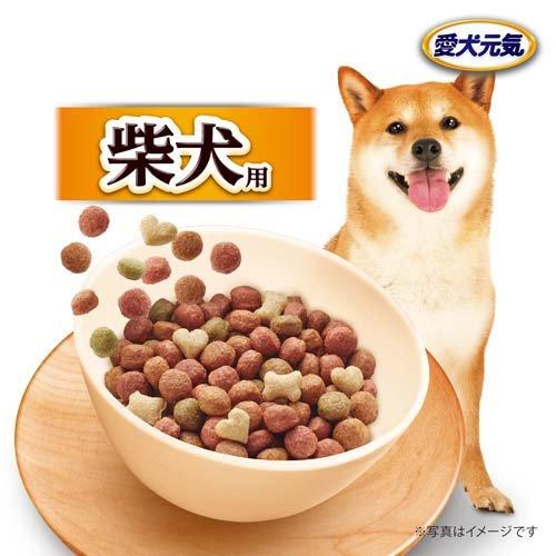  CANIN 柴犬用 ドッグフード 8kg2個セット ROYAL CANIN 柴犬用 ドッグフード 8kg×2個セット