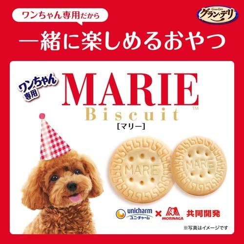 グラン・デリ ワンちゃん専用マリービスケット チーズ味 おやつ ( 50g