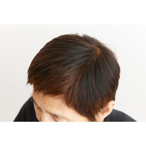 ナイアード ヘナ 100％ ( 100g ) 洗髪剤 カラー剤 白髪染め 植物性100