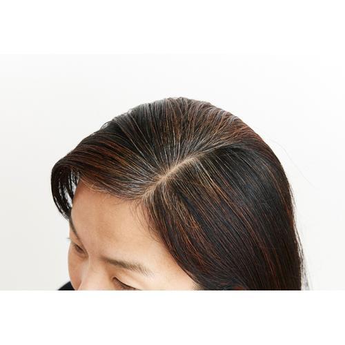 ナイアード ヘナ+木藍 茶系 ( 400g(100g*4袋入) ) ヘナ 洗髪剤 カラー