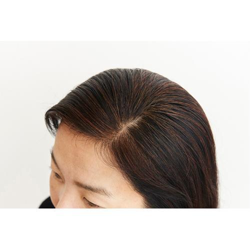 ナイアード ヘナ+木藍 茶系 ( 400g(100g*4袋入) ) ヘナ 洗髪剤 カラー