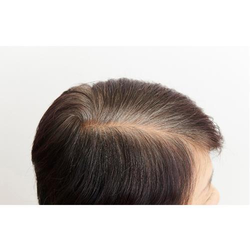 ナイアード ヘナ+木藍 黒茶系 ( 100g ) ヘナ 洗髪剤 カラー剤 白髪染め