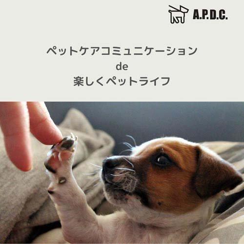 A.P.D.C. ティーツリーコンディショナー 犬用 ( 250ml )/ : 爽快 A.P.D.C. ティーツリーコンディショナー 犬用 ( 250ml )/ : 爽快