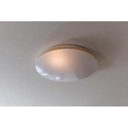 アビテラックス LEDシーリングライト 12畳用 ALC-12B ( 1台 )/ : 爽快