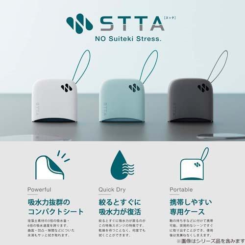 アイオン STTA 超速乾 超吸水 シートタイプ ダークグレー ケース付き