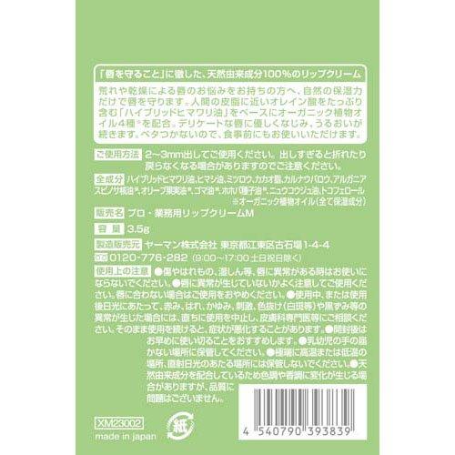 プロ業務用 リップクリーム ( 3.5g )/ プロ・業務用 : 爽快ドラッグ