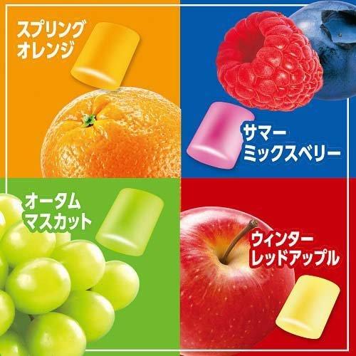 クロレッツXP シーズンアソートボトルR ( 140g )/ クロレッツ : 爽快