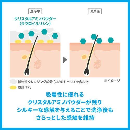 シーブリーズ リンスインシャンプー f つめかえ ( 1000mL )/ : 爽快
