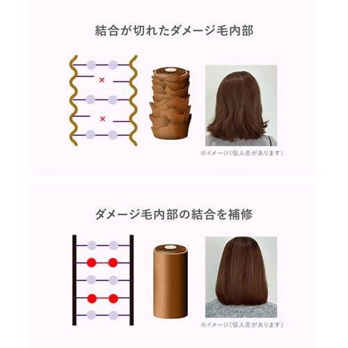 アンプルール ナイトリペア スカルプ＆ヘアエッセンス ( 100mL