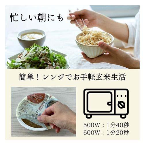スマート米 寝かせ玄米 ごはんパック ( 160g ) レトルトご飯 パック