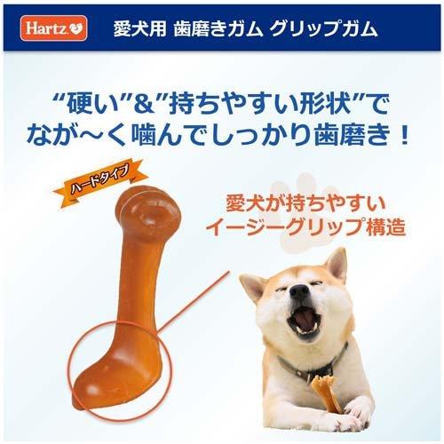 ハーツ グリップガム M ベーコン味 ( 2本入 )/ Hartz(ハーツ) : 爽快