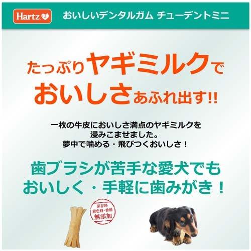ハーツ チューデントミニ ヤギミルク風味 ( 10本入 )/ Hartz ハーツ チューデントミニ ヤギミルク風味 ( 10本入 )/ Hartz
