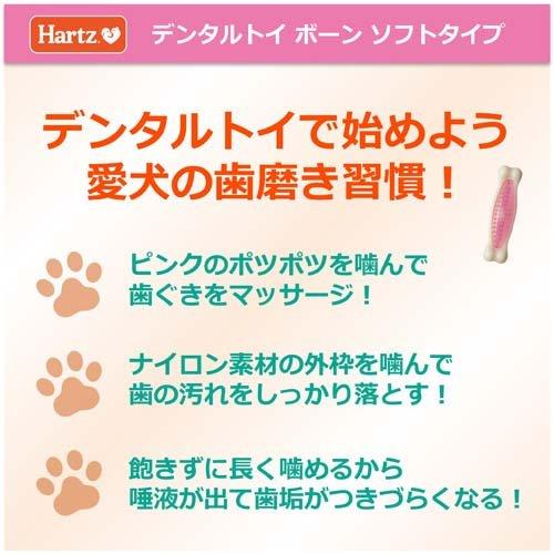 コムギ様 ♥︎スペチアーレ ミニセット ①② AZONE INTERNATIONAL::えっくす☆きゅーと::商品詳細