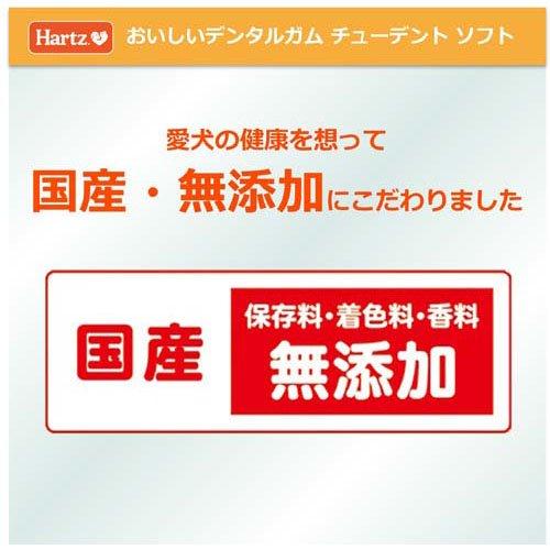 ハーツ チューデント ソフト スティックタイプ ( 50g )/ Hartz ハーツ チューデント ソフト スティックタイプ ( 50g )/ Hartz