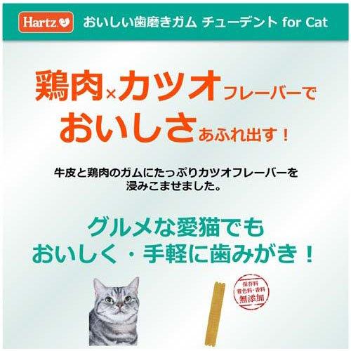 ハーツ チューデント for Cat カツオ風味 ( 8枚入 )/ Hartz ハーツ チューデント for Cat カツオ風味 ( 8枚入 )/ Hartz
