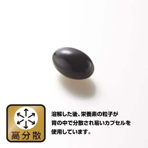 野口医学研究所 イチョウ葉＆DHA・EPA サプリ ( 60粒入 ) : 爽快