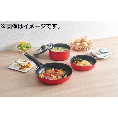 サーモス デュラブルシリーズ 取っ手のとれるフライパン 20cm KVC-020