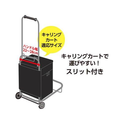 サーモス ソフトクーラー 20L オールブラック RFD-0201 ALB ( 1個
