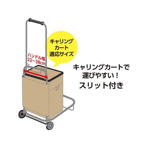 サーモス ソフトクーラー 20L サンドベージュ RFD-0201 SDBE ( 1個