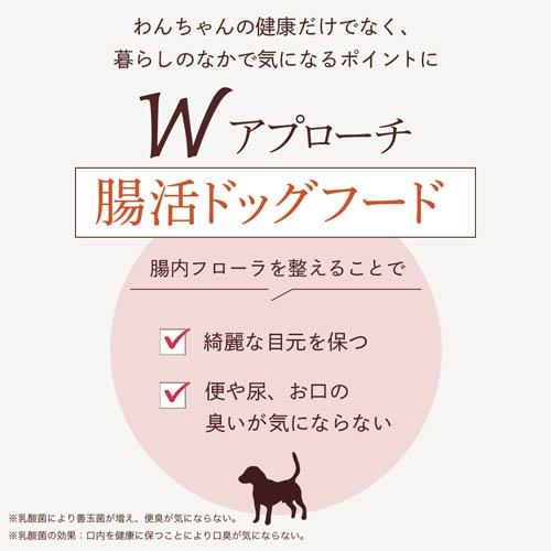 ミシュワン 成犬ドッグフード 国産鶏肉＆馬肉 ( 1kg )/ : 爽快ドラッグ