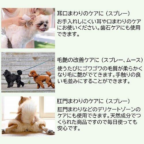 Raパワーエッセンス スプレータイプ ( 150mL ) : 爽快ドラッグ - 通販