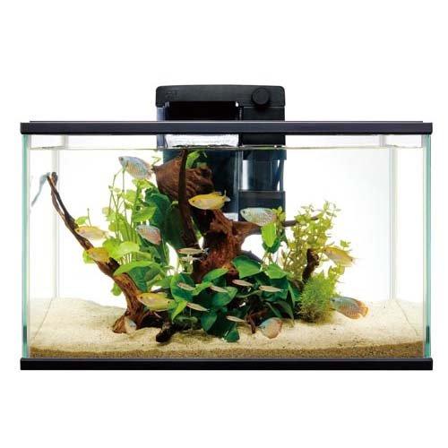 テトラ オートワンタッチフィルター フリーウォッシュ L ( 1個