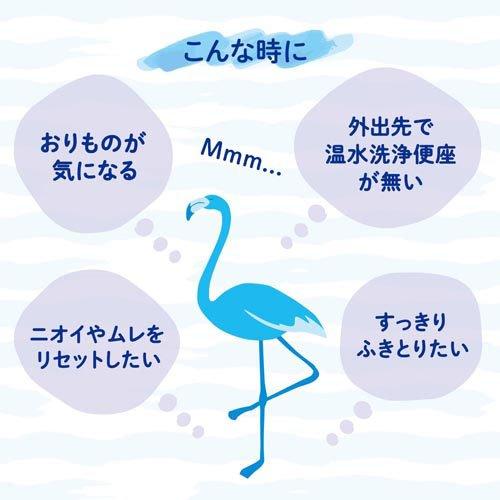 女性用 デリケートゾーン ウェットシート フェムウエット 無香料 ( 10