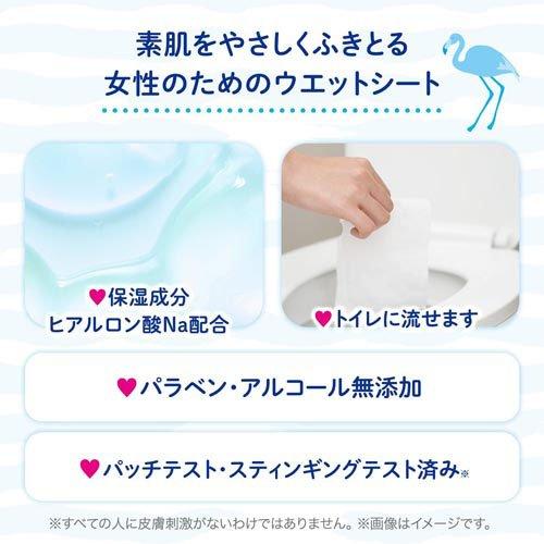 女性用 デリケートゾーン ウェットシート フェムウエット 無香料 ( 10