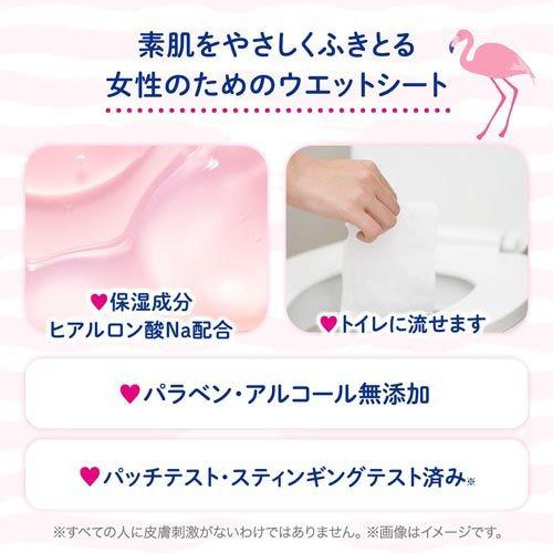 女性用 デリケートゾーン ウェットシート フェムウエット サボン ( 10