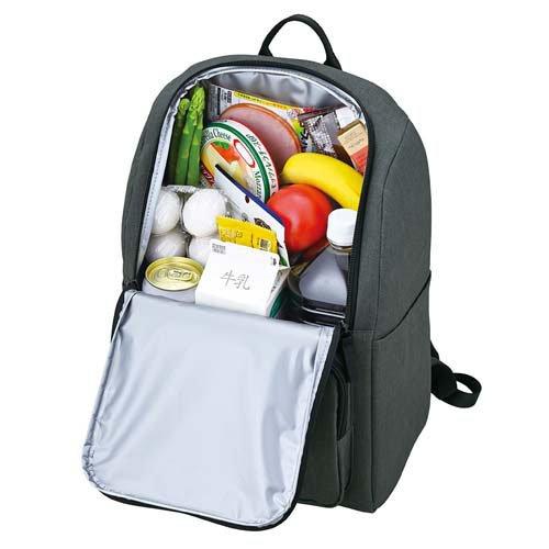 サーモス 保冷バックパック 16L ダークグレー RFP-016 DGY ( 1個