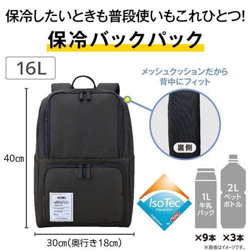 サーモス 保冷バックパック 16L ダークグレー RFP-016 DGY ( 1個