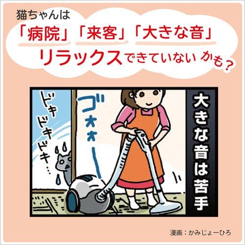 MiawMiawジューシー 15歳頃からのあじわいまぐろ ( 60g×12袋