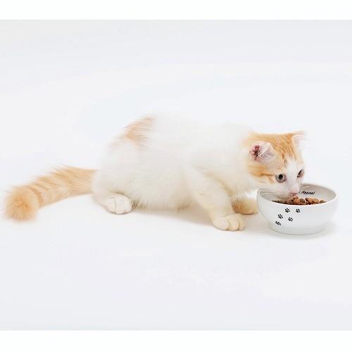 猫壱 ハッピーダイニング フードボウル 猫柄 ( 1個 )/ : 爽快ドラッグ