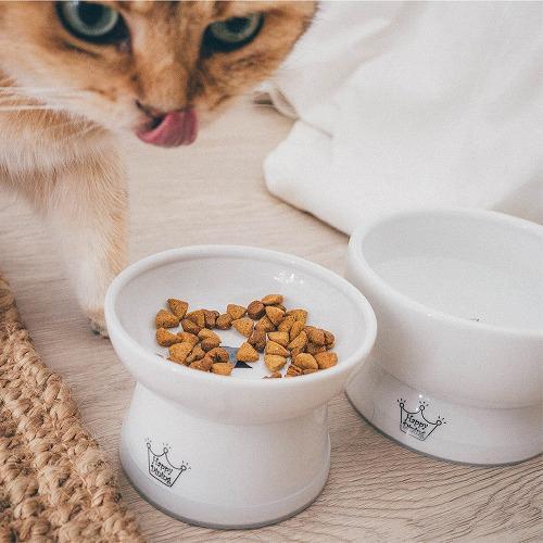 猫壱 ハッピーダイニング 脚付フードボウル 猫柄 シリコン付き ( 1個