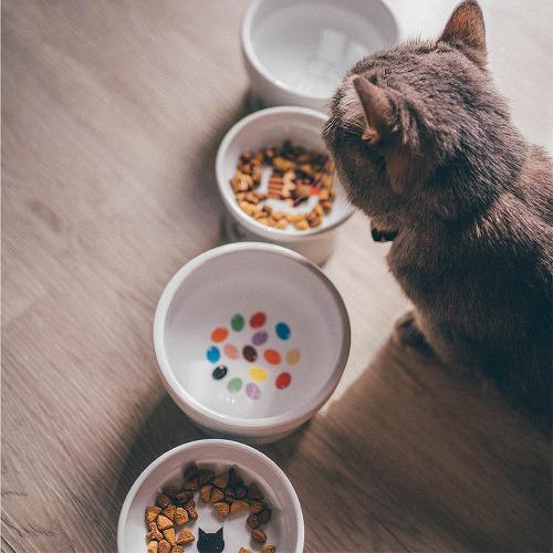猫壱 ハッピーダイニング 脚付フードボウル 猫柄 シリコン付き 猫壱 ハッピーダイニング 脚付フードボウル 猫柄 シリコン付き