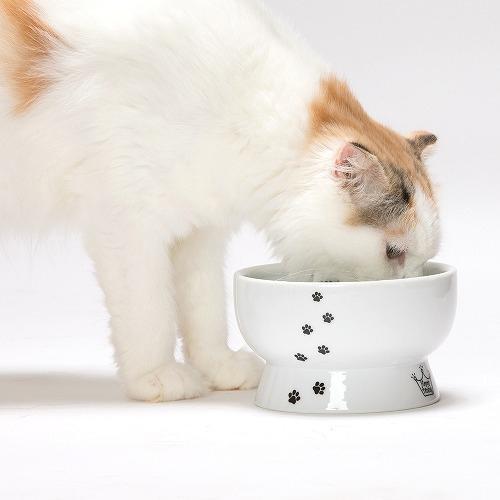 猫壱 ハッピーダイニング 脚付ウォーターボウル 猫柄 シリコン