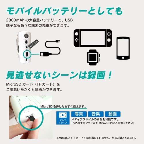 4.3インチポケットワンセグラジオ 録画機能搭載モデル VS-AK43Y ( 1個