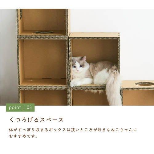 キャットボックス キャットタワー ( 1セット )/ paper new standardの画像