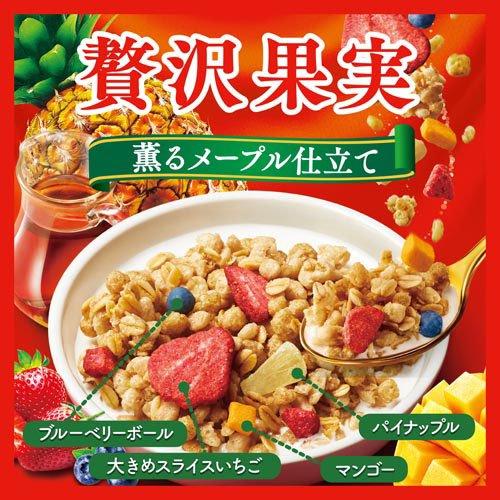 企画品)日清シスコ ごろグラ 3種*2袋アソート ( 1セット )/ ごろっと