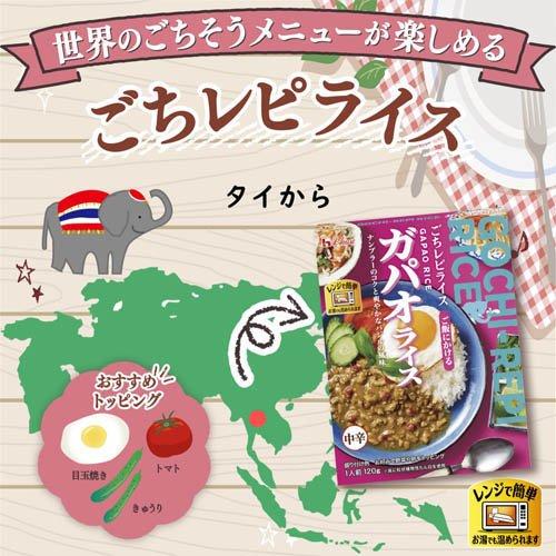 企画品)ごちレピライス4種12食セット ( 1セット ) 多国籍 エスニック